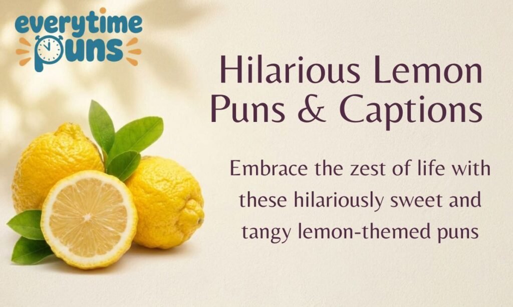 hilarious-lemon-puns-and-captions